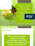 Biologi Kelompok 3 (Dasar-Dasar Genetika)