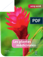 plantes médicinale 