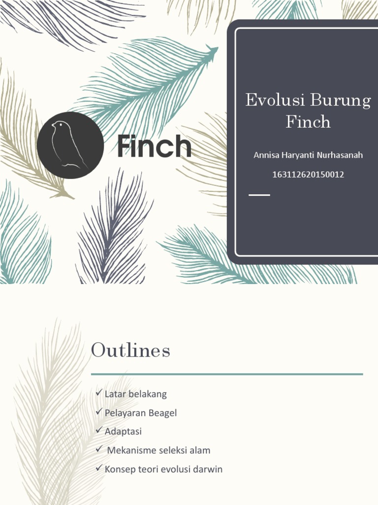 Evolusi Burung Finch