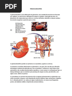A Glomerulonefrite é Uma Inflamação Do Glomérulo
