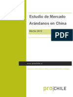 Estudio de Mercado Arandanos A China