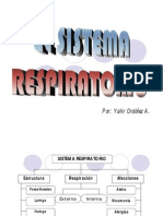 Sistema Respiratorio