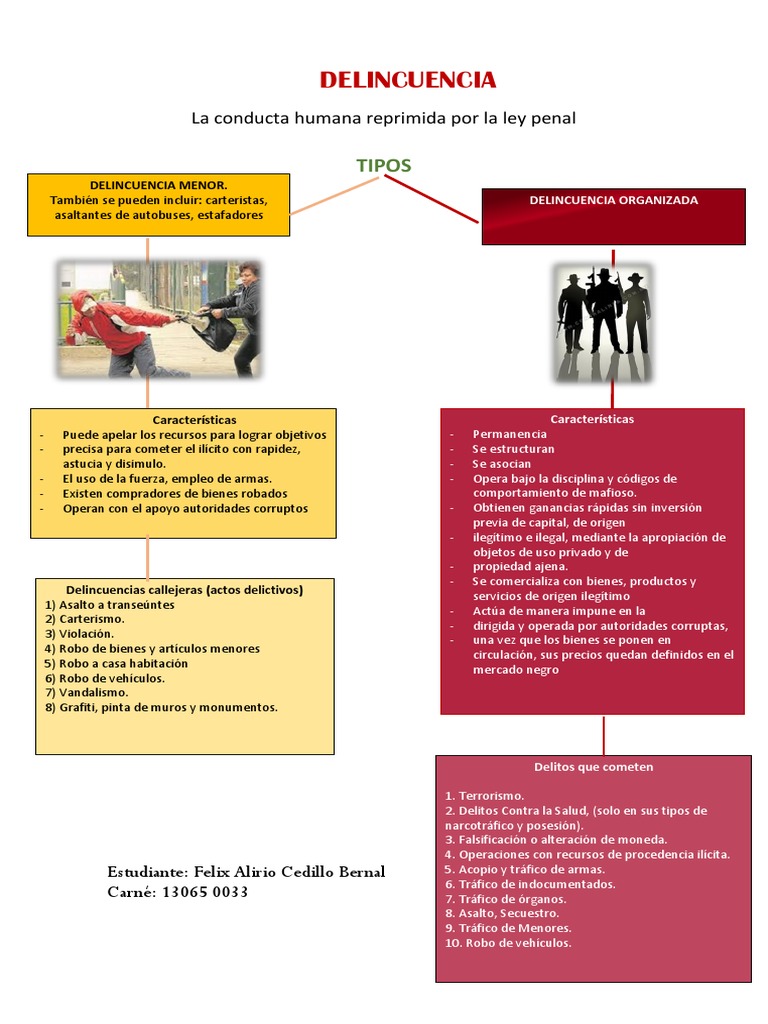 Tipos y características de la delincuencia | PDF | Robo | Delito