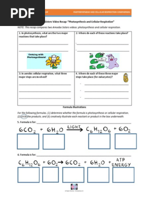 video-recap-comparing-photosynthesis-and-cellular-respiration-by-amoeba-sisters-pdf