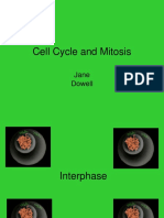 Cell Cycle and Mitosis