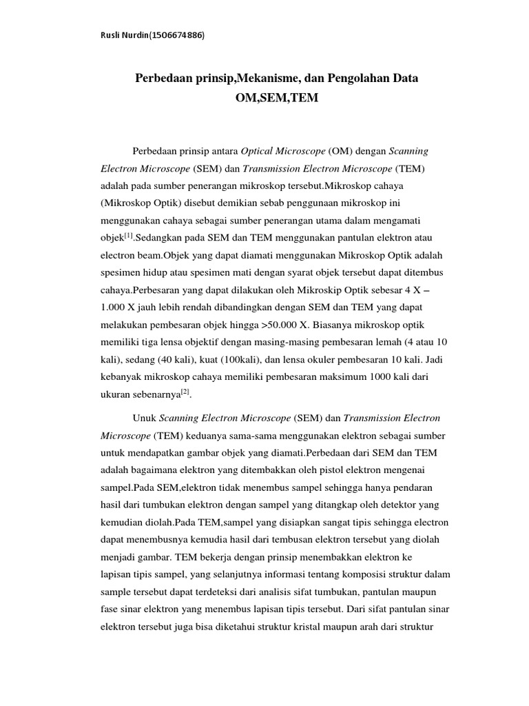 Essays everything dan fruzzetti 06 picture