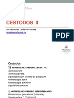 Cestodos II Oct 2017