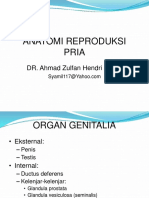Anatomi Reproduksi Pria: DR. Ahmad Zulfan Hendri, Sp. U