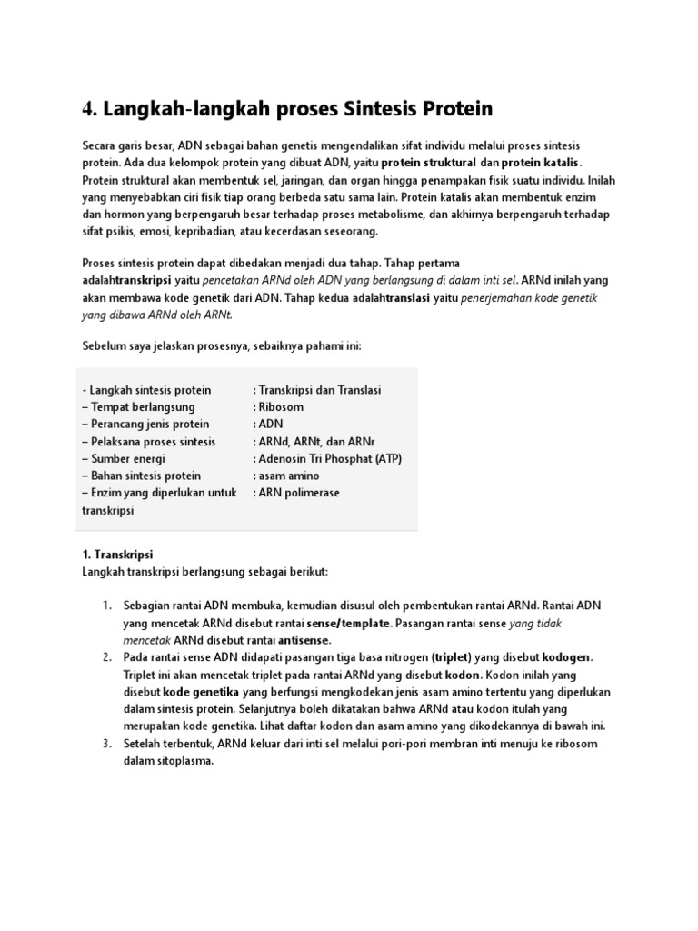 Langkah-langkah Sintesis Protein | PDF | Sains & Matematika
