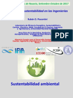 Sustentabilidad en Las Ingenierías CIR 2017 (Rubén D Piacentini)