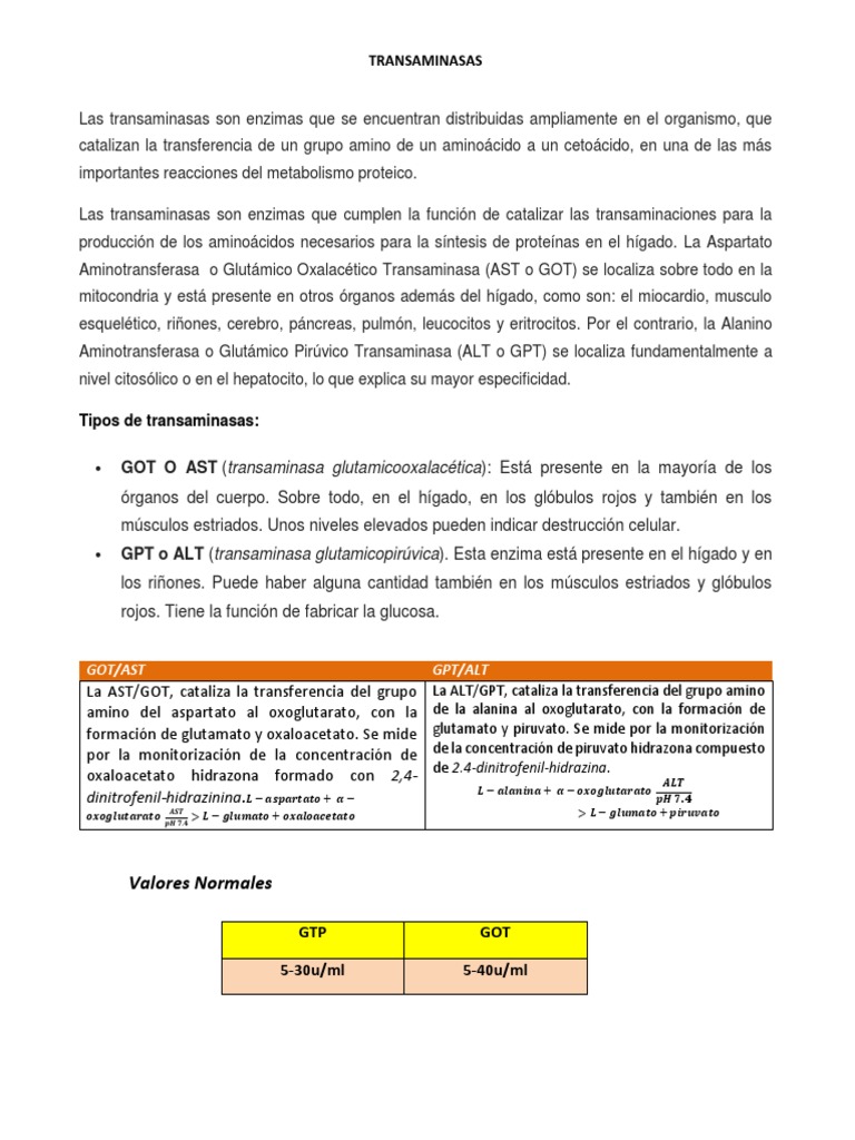 TRANSAMINASAS | PDF | Transaminasa | Alanina transaminasa