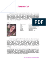 escherichia-coli2.pdf