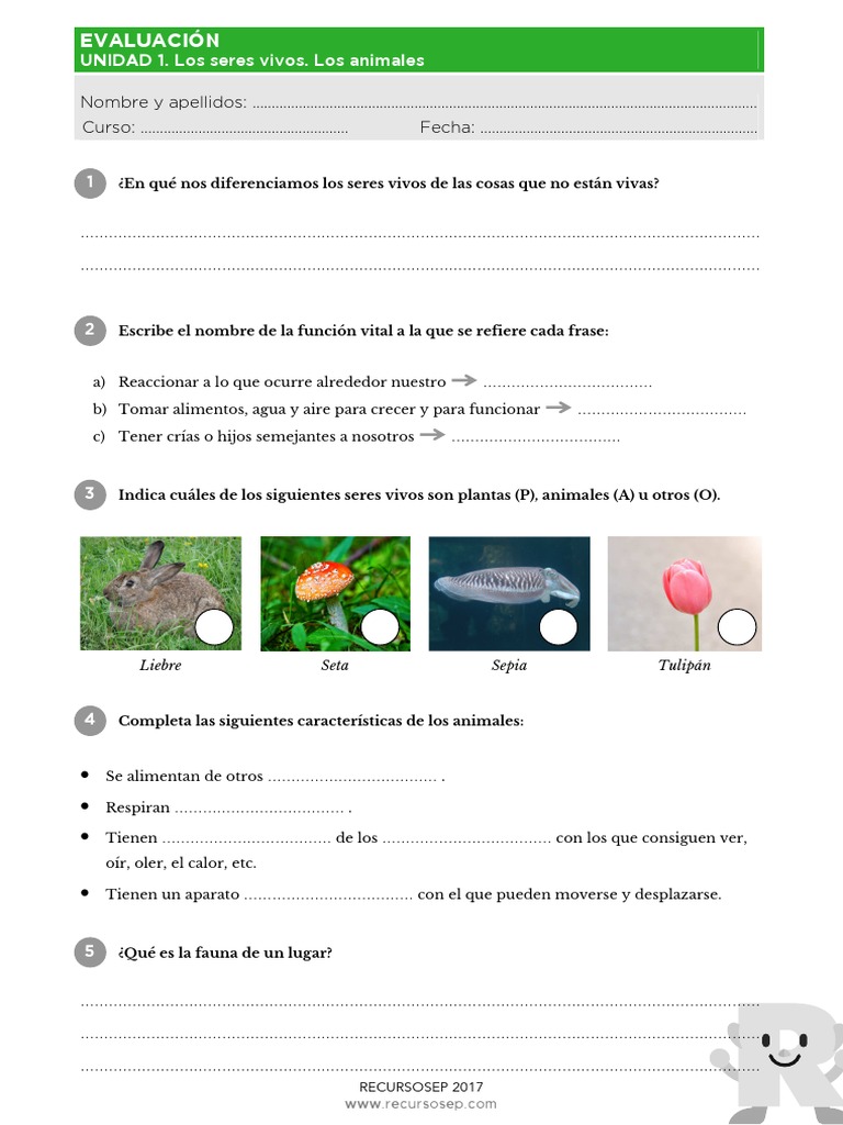 Evaluación de Seres Vivos para Primaria | PDF | Organismos | Naturaleza