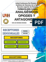 Analgésicos Opiodes y Antagonistas