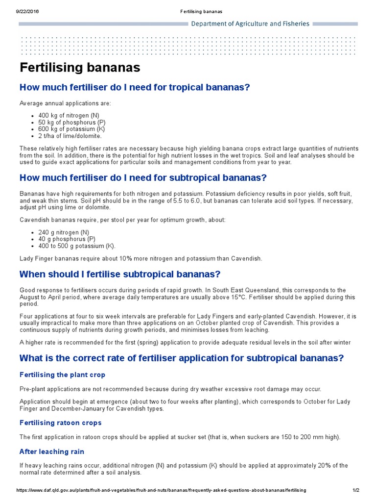 Fertilising Bananas Fertilizer Banana