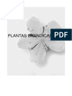 Agricultura Ecologica Especies de Vegetacion Espontanea Plantas Bioindicadoras PDF
