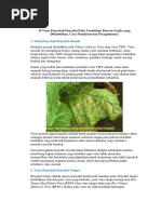 Download 10 Virus Penyebab Penyakit Pada Tumbuhan Beserta Gejala Yang Ditimbulkan by rhiecky SN361920683 doc pdf