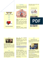 Leaflet PPM Icd