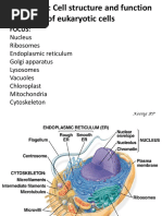 Chapter 6 - Cell Structure and Function