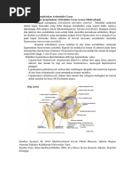 Memahami Dan Menjelaskan Articulatio Coxae