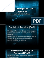 10 Denegación de Servicio PDF