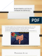 Gastroenterita Acuta Cu Clostridium Difficile