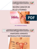 cancerdeuteroeli-110320214350-phpapp01