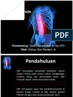 Long Case LBP Why