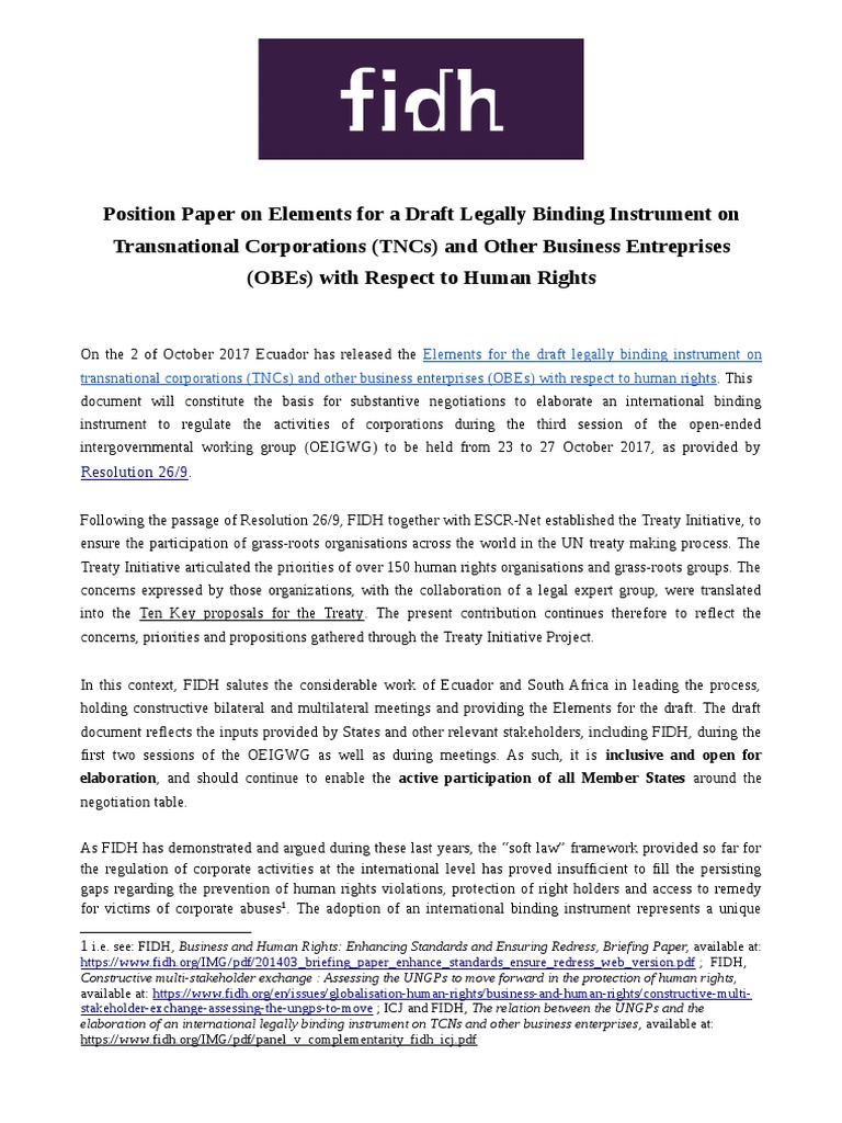 FIDH Position Note Draft FINAL | PDF | Human Rights | Victimology