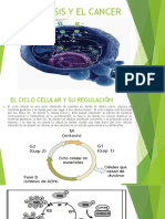 Apoptosis y El Cancer