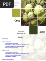 Perfil Coco Fev 2017