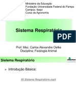 Fisiologia Animal - Sistema Respiratorio 4