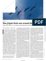 How Frigate Birds Soar Around The Doldrums: Perspectives