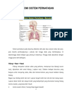 Askep Pneumonia