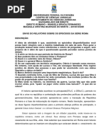 Relatório - Série Roma