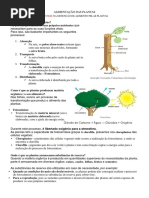 Alimentação Das Plantas