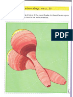 Atividades 1 - Pré Escolar.pdf