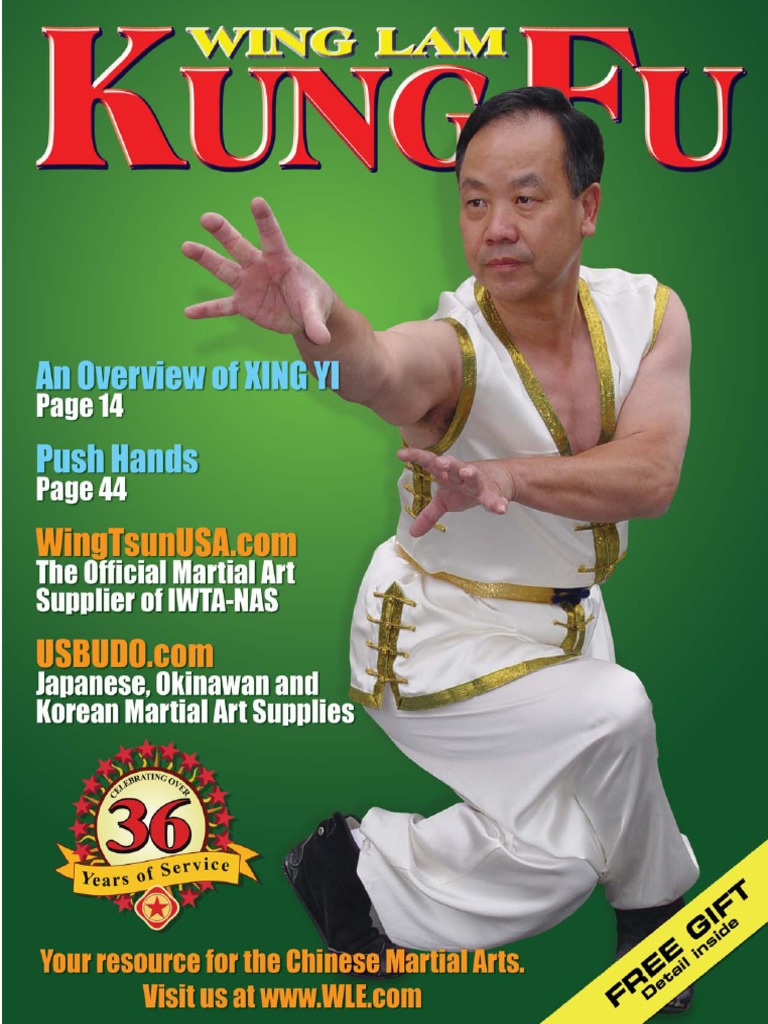THE COMPLETE GUIDE TO KUNG FU FIGHTING STYLES EAGLE CLAW WHITE CRANE  MARTIAL ART