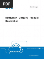 Netnumen U31 (CN) Product Description