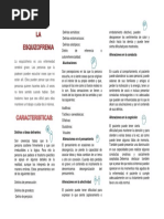 tripticoLA ESQUIZOFRENIA