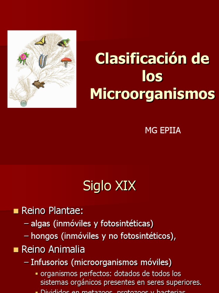 Clasificación y Estructura de Microorganismos | PDF | Las bacterias ...