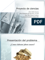 Proyecto de Ciencias (Jabon Casero)