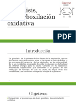 Glucolisis Descarboxilacion Oxidativa
