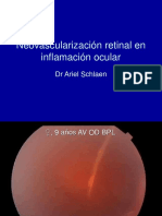 DR Schlaen Otras Causas de NVZ