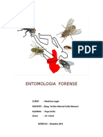 Entomologia Forense