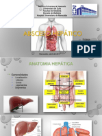 Absceso Hepático 3