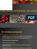 Evaluacion Sensorial Del Café