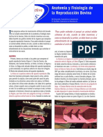 Anatomia y fisiologia Bovinos.pdf