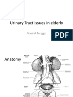 Urinary Issues in Elderly