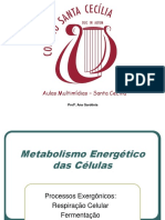 Ana Gardenia-metabolismo Energetico Das Celulasrevisado Ppt